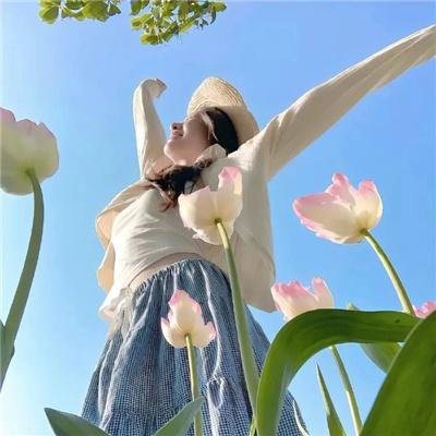 狮子彻夜未眠