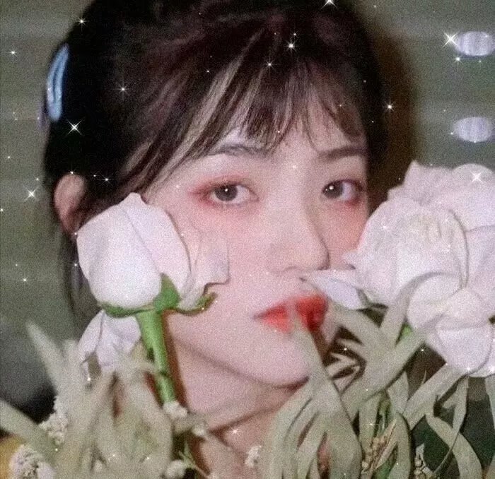 爱的乐章