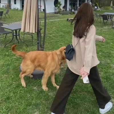 春满逍遥湾